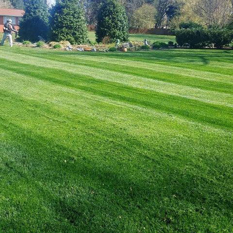 Lawn Fertilizer Program