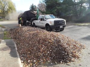 Leaf Vacuum