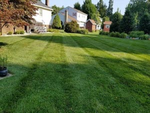Lawn Fertilizer Program