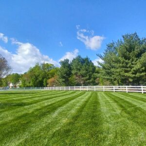 Lawn Mowing
