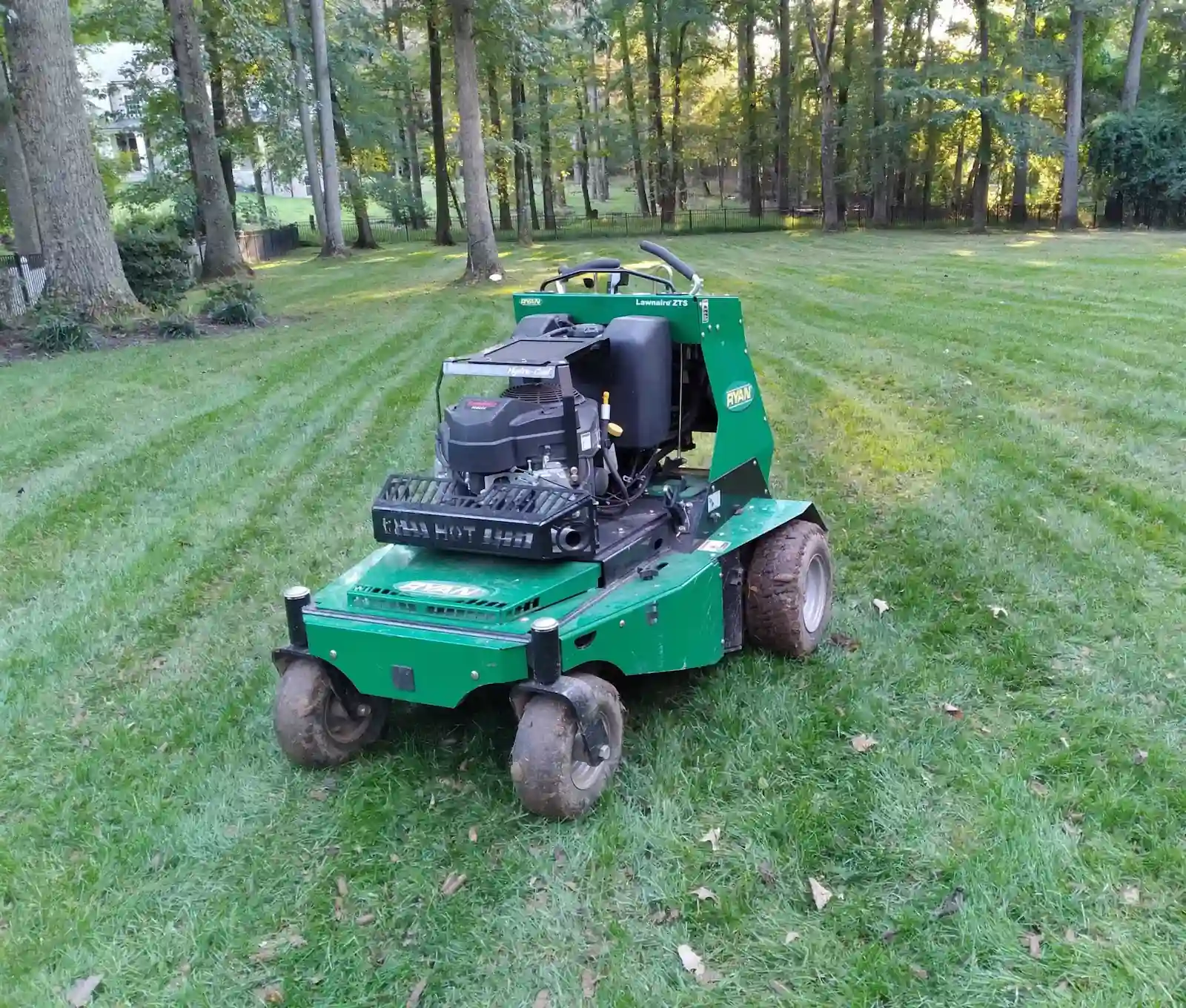 Thick green lawn after core aeration and seeding