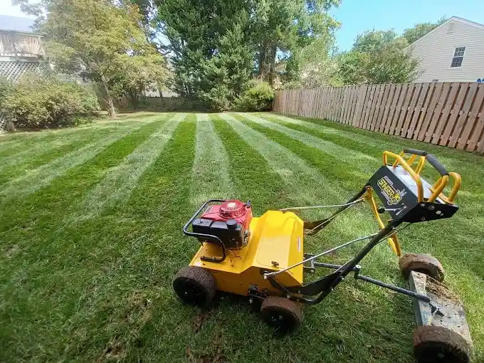 Aeration and seeding service