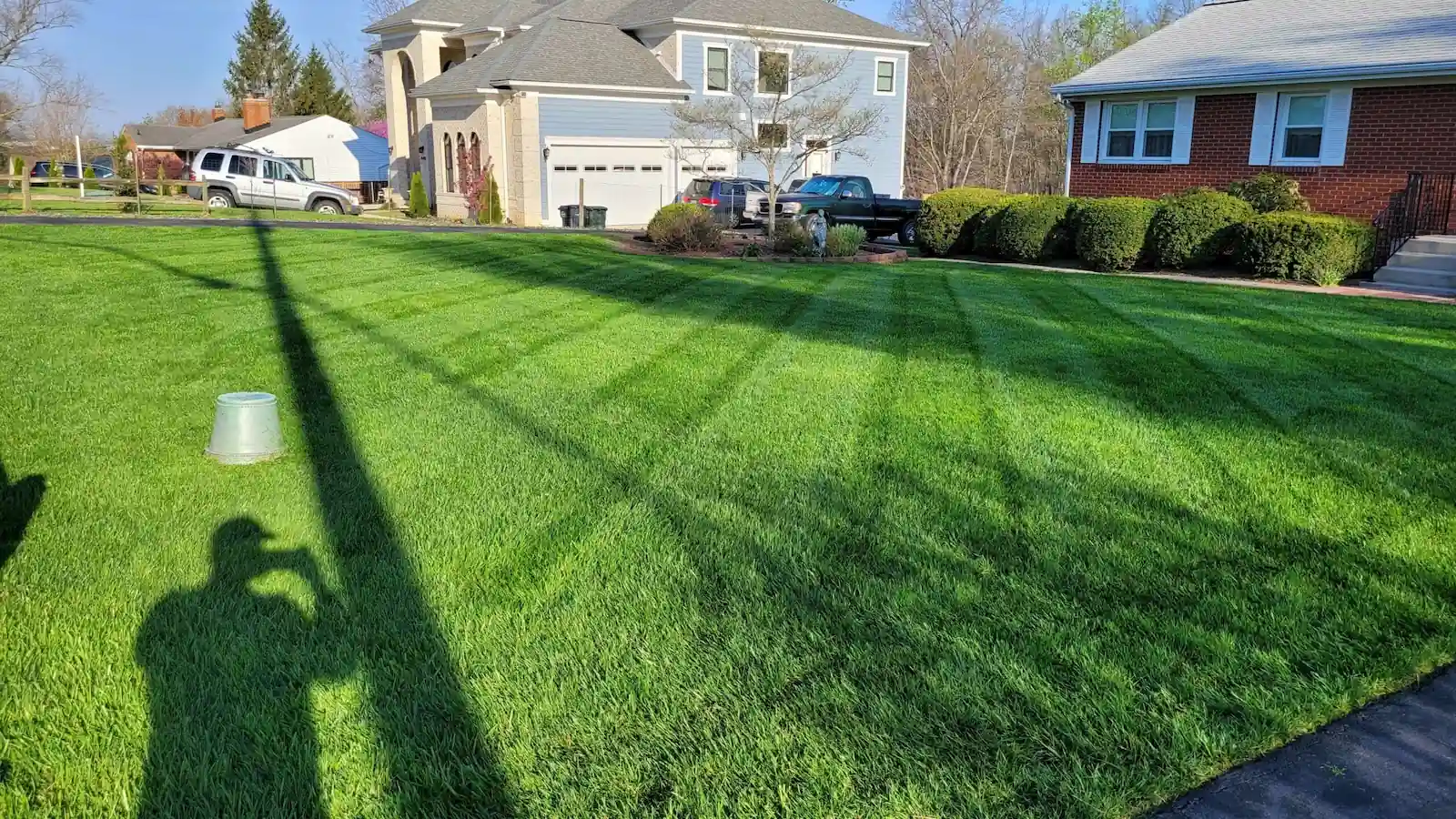 Fertilized lawn maintained by A Cut Above