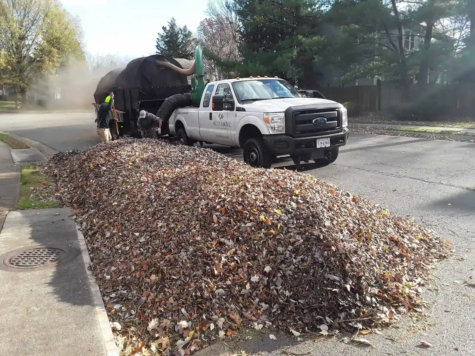 A Cut Above professional fall leaf removal service