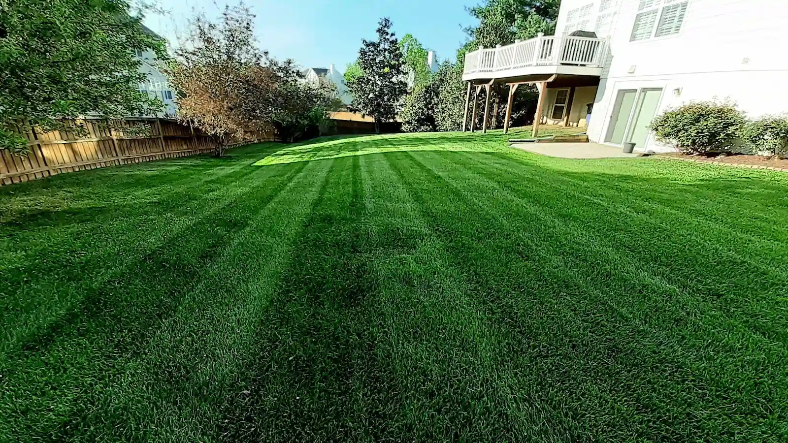 Manicured lawn maintained by A Cut Above