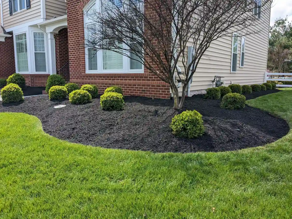 Freshly mulched landscape beds by A Cut Above